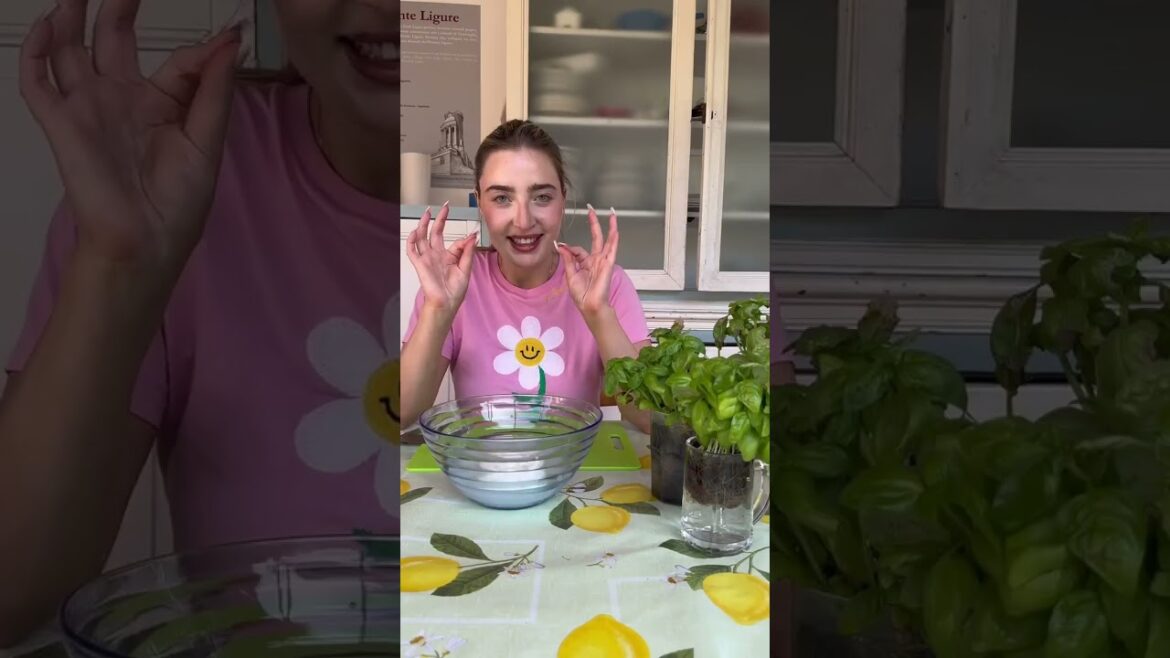 CAPRESE #shorts #caprese #italianfood CAPRESE #shorts #caprese #italianfood