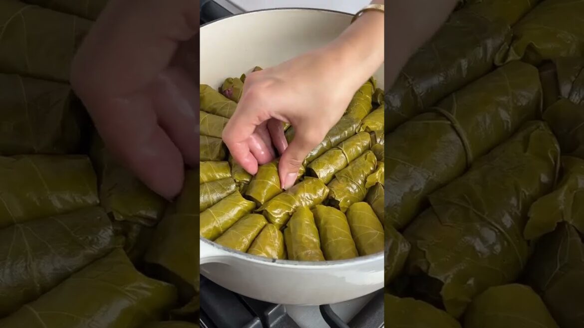 Greek Dolmades Recipe