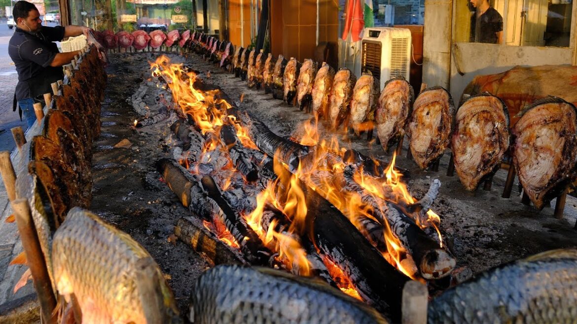 Amazing Iraqi Style Grilled Fish Around Charcoal and wood Fire | Erbil-Kurdistan Street Foods