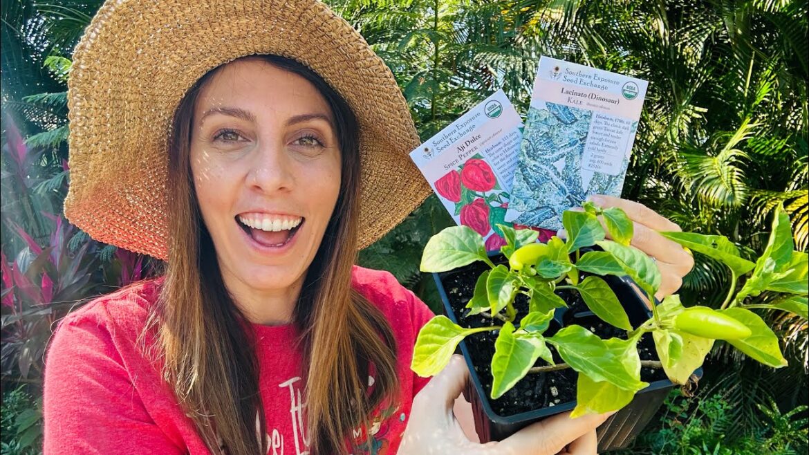 December Vegetables: What to plant in your Florida Vegetable Garden month by month December Vegetables: What to plant in your Florida Vegetable Garden month by month