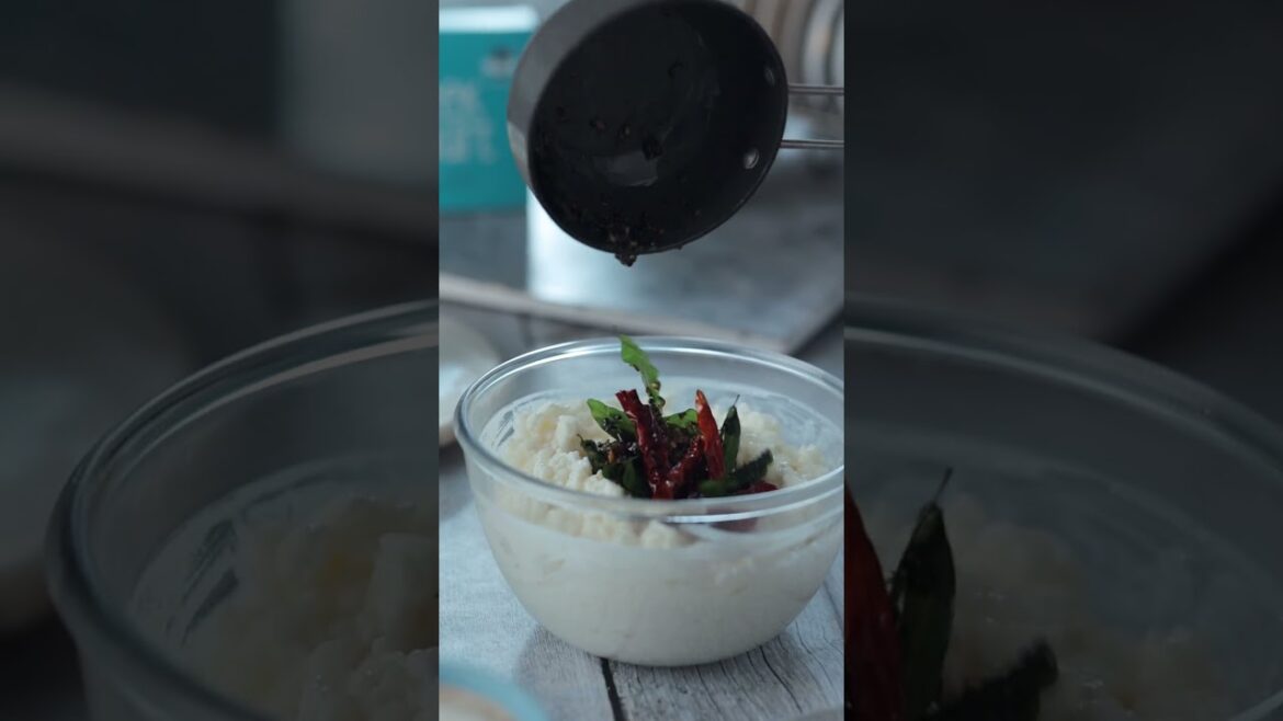 Zoh's Greek Yogurt Starter Culture: The Path to Creamy Perfection