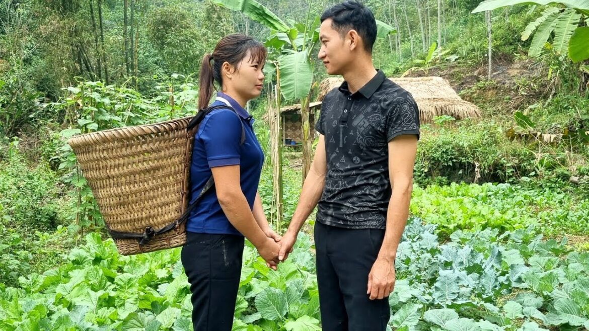 Harvest the vegetable garden – bring it to the market to sell | Triêu Thị Sểnh Harvest the vegetable garden - bring it to the market to sell | Triêu Thị Sểnh