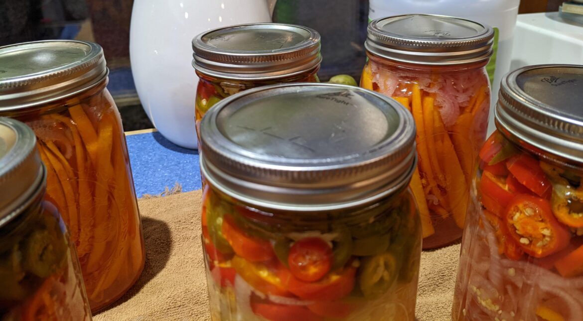 2nd time ever canning, am I screwed? will I need to re-process?