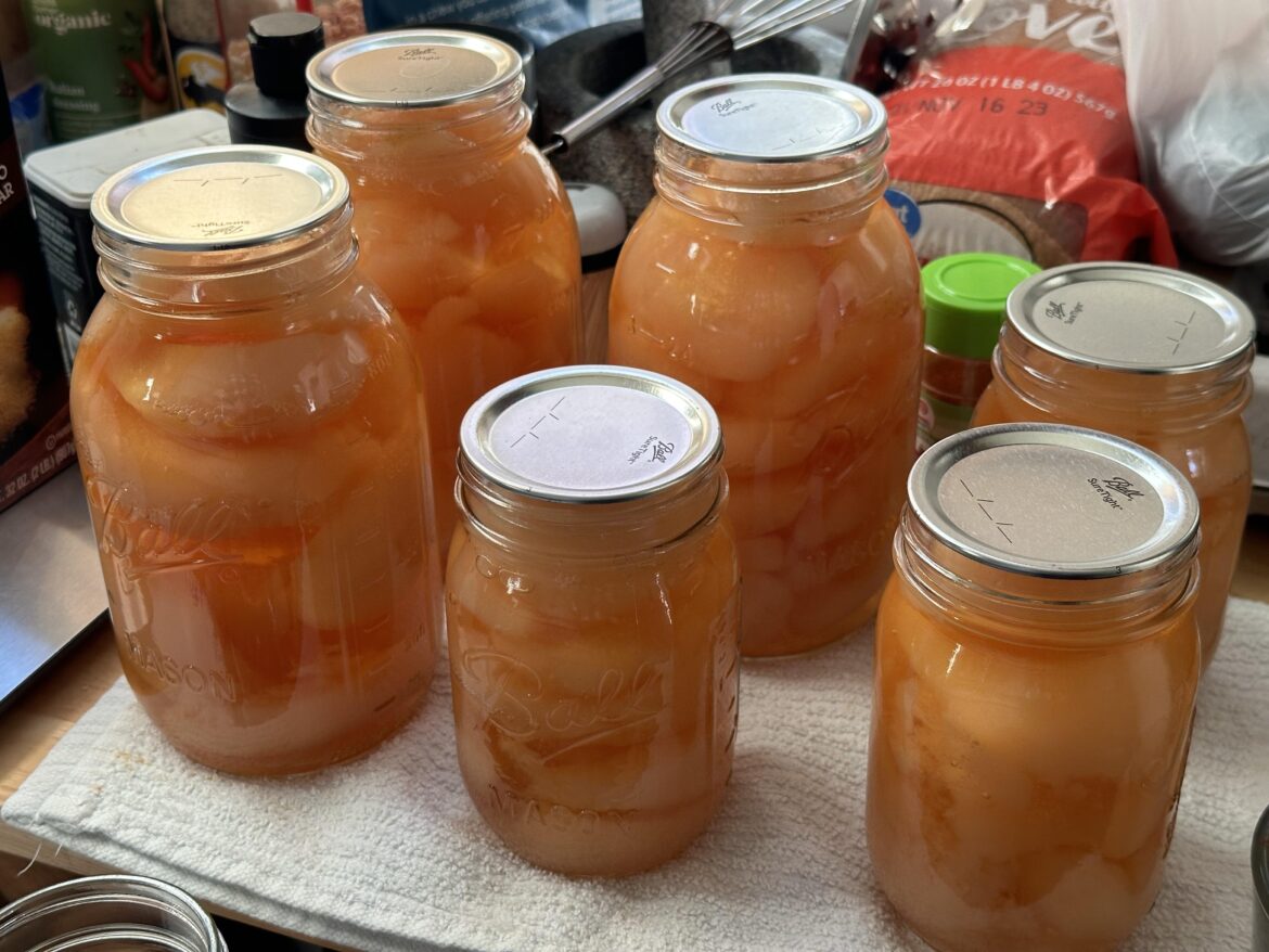 Local Pears in Apple juice. Local Pears in Apple juice.