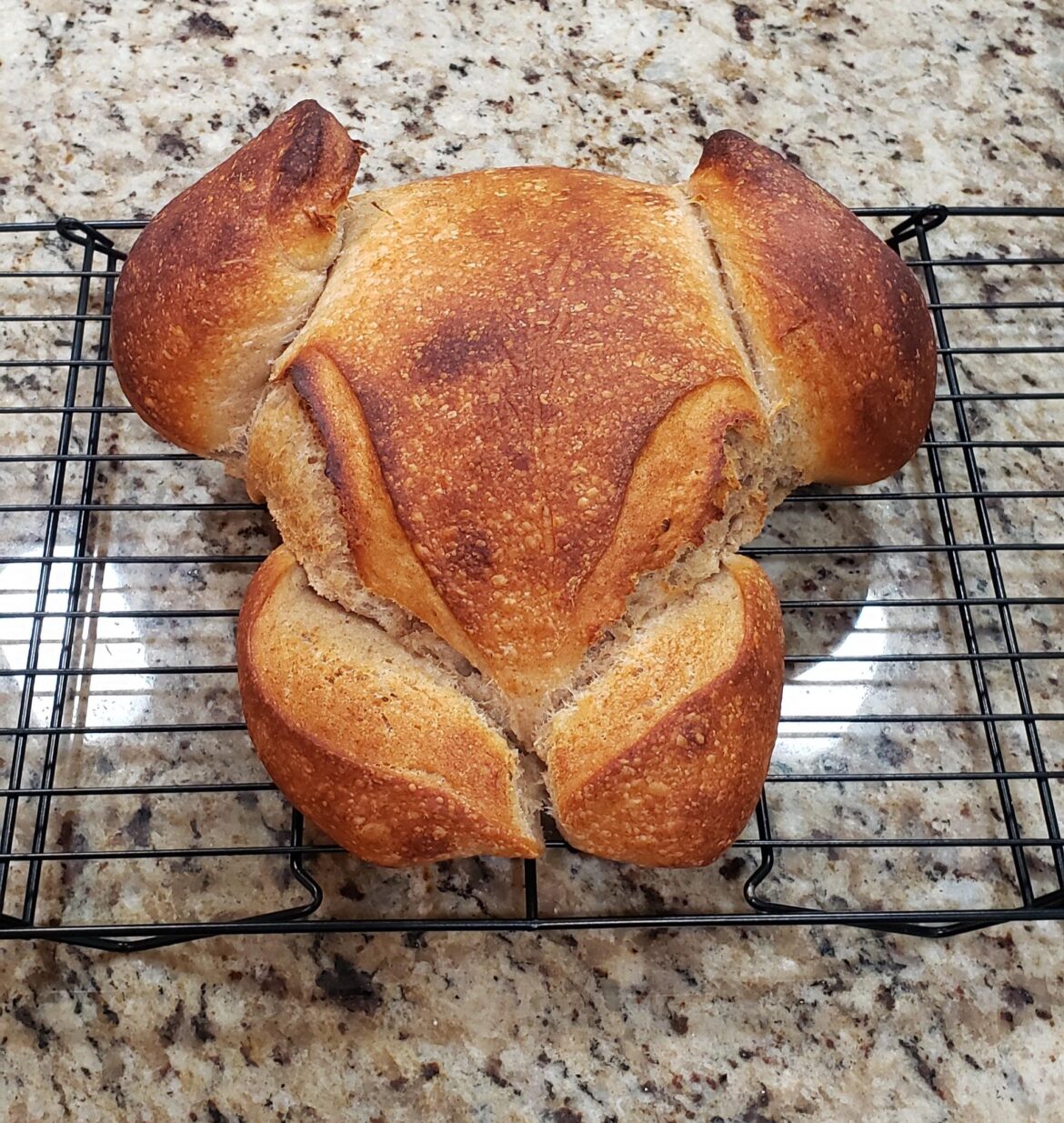 1st attempt at turkey shaped loaf.
