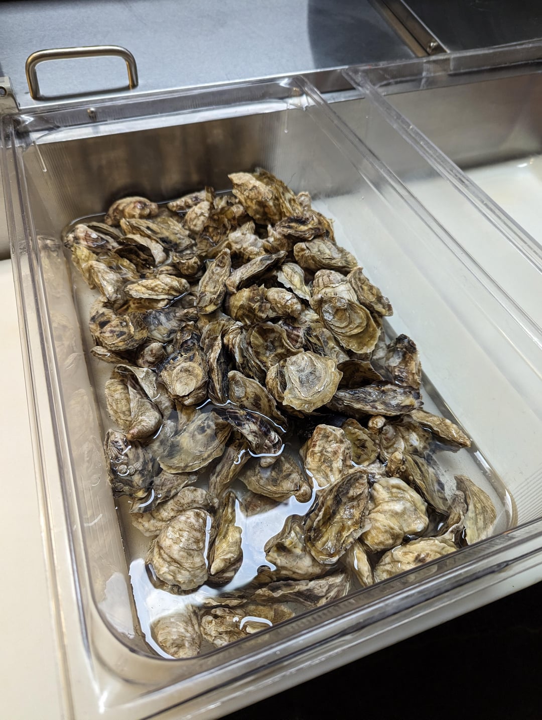 Someone put the oysters on ice last night. You can't keep oysters in