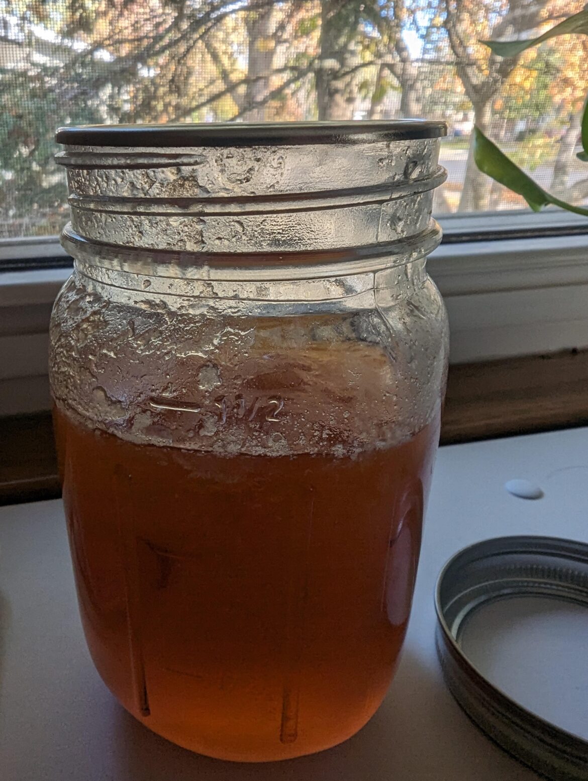 I was given plum jam. There's a really big head space. Safe?