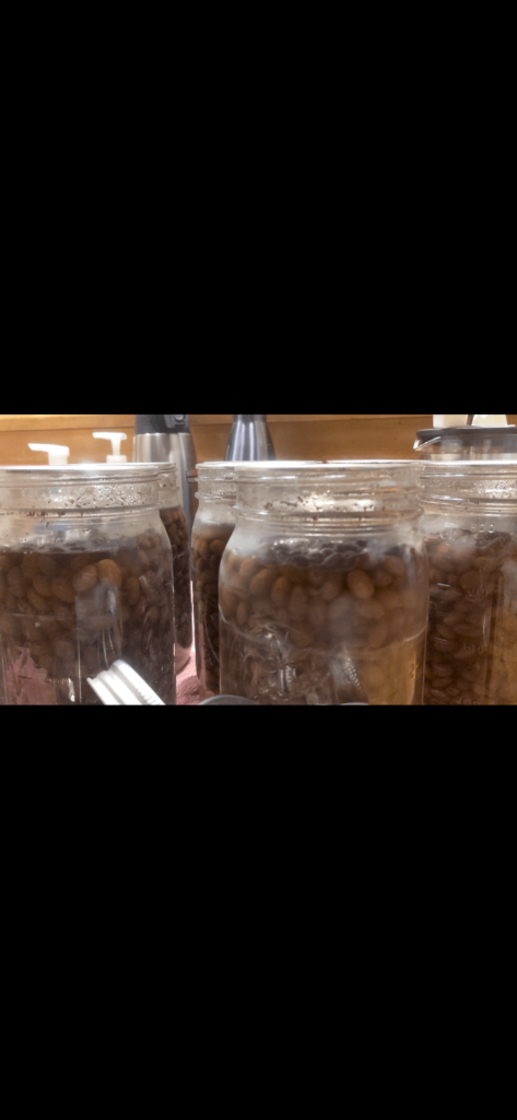 Bubbling in jars post canning Bubbling in jars post canning