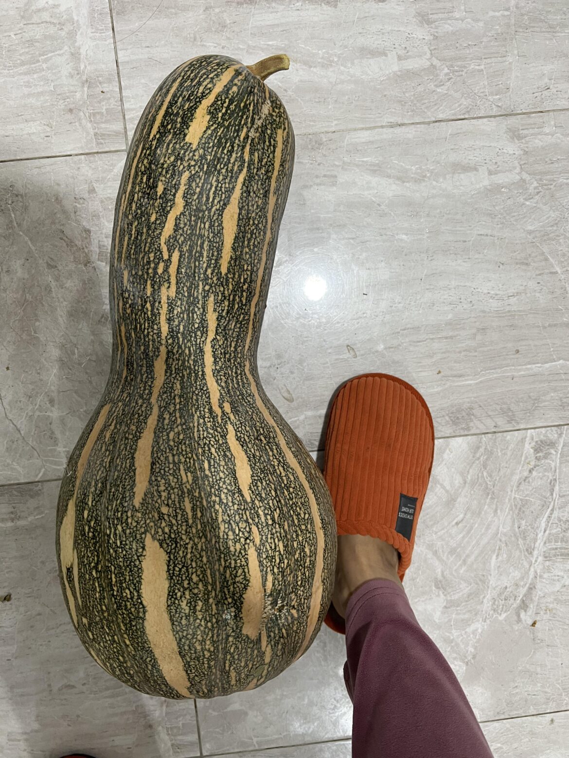 Do you eat pumpkin? Or it’s just decorating 🎃?