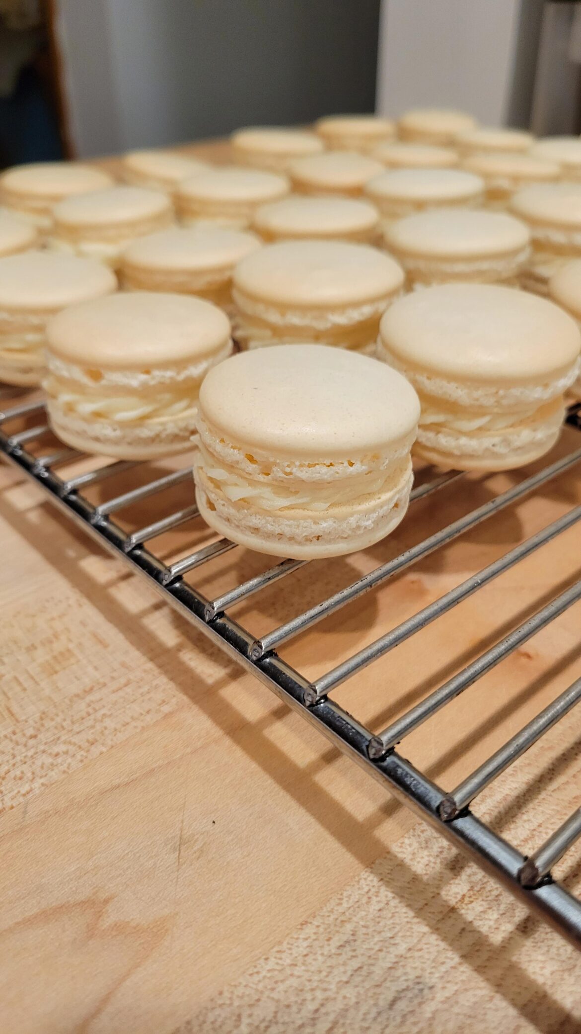 First try at Macarons, Vanilla with Lemon Buttercream