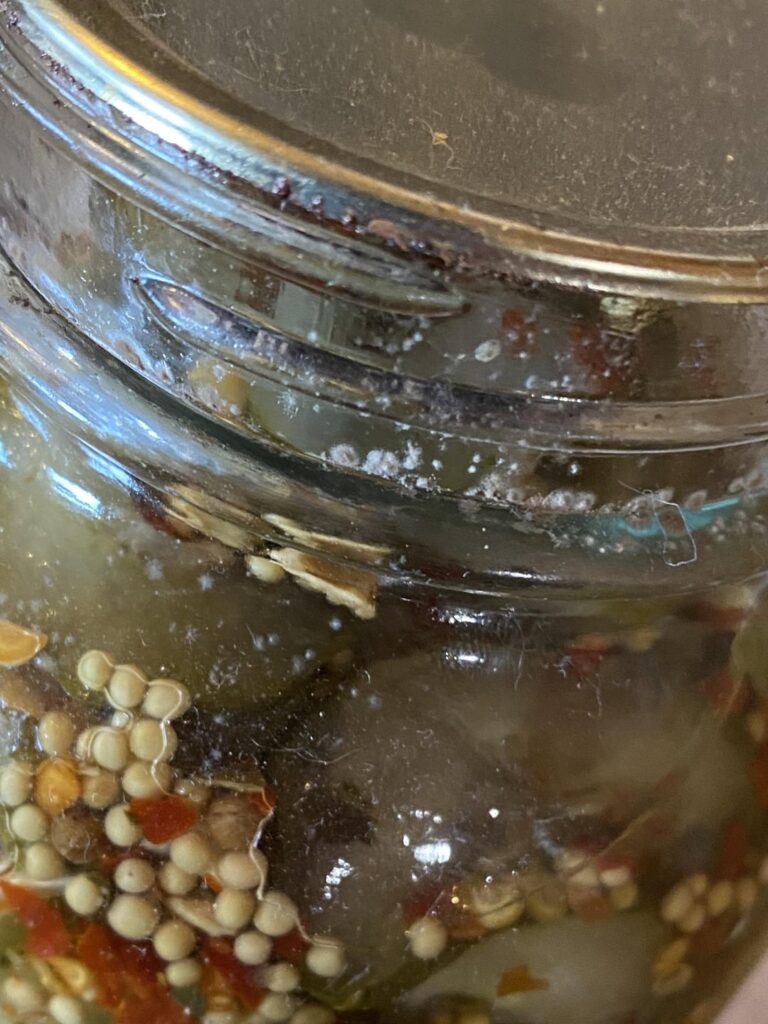 Mold on the outside rim of the pickle jar? Mold on the outside rim of the pickle jar?
