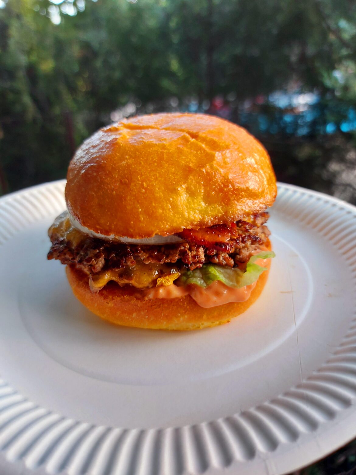 [Homemade] Smash burger,made the buns too