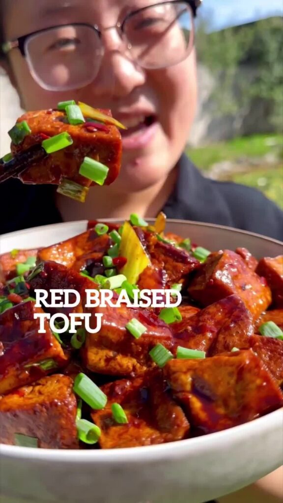Red Braised Tofu