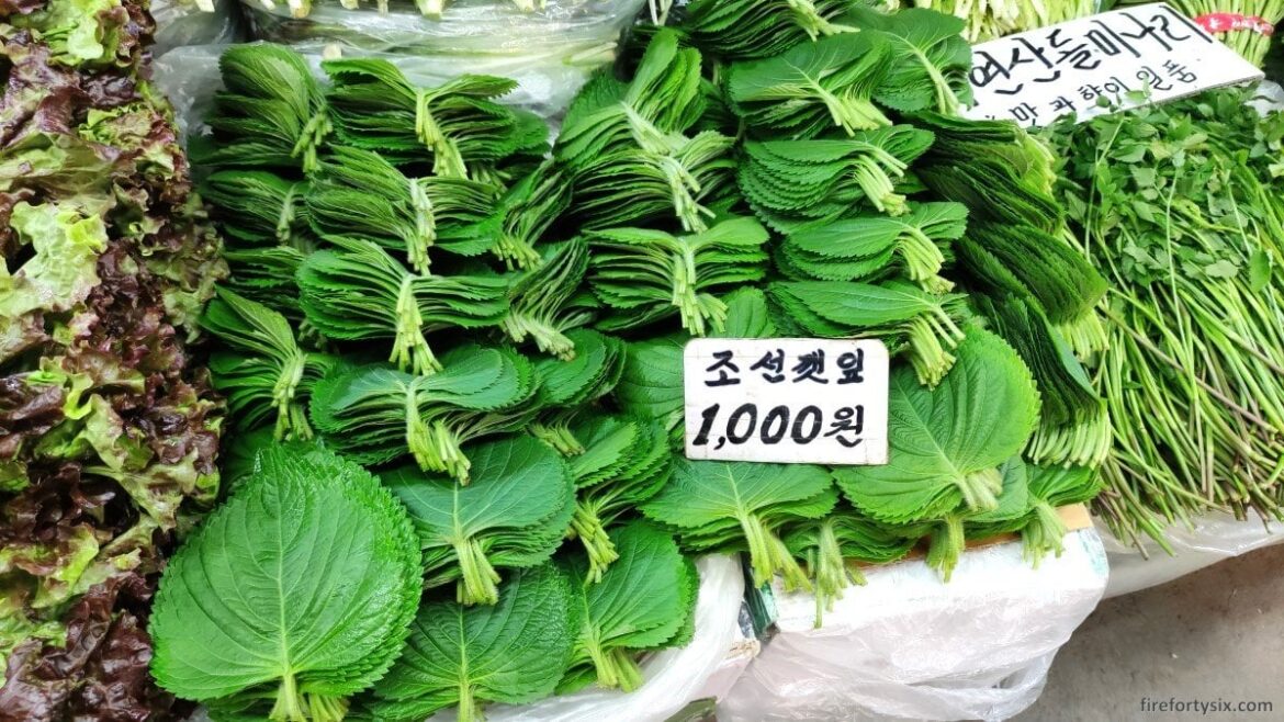 And just like that, The Wife turned into a kkaennip addict