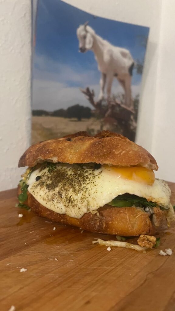 Breakfast sandwich on bacon lardon and Gruyère bread with dressed avocado, evoo, sautéed cherry tomatoes, shiitakes, walnuts, and garlic in isigny butter and balsamic with a Zataar fried egg with crushed fermented peppercorns and maldon salt, diced cucumbers, barrel aged Greek feta, and dill