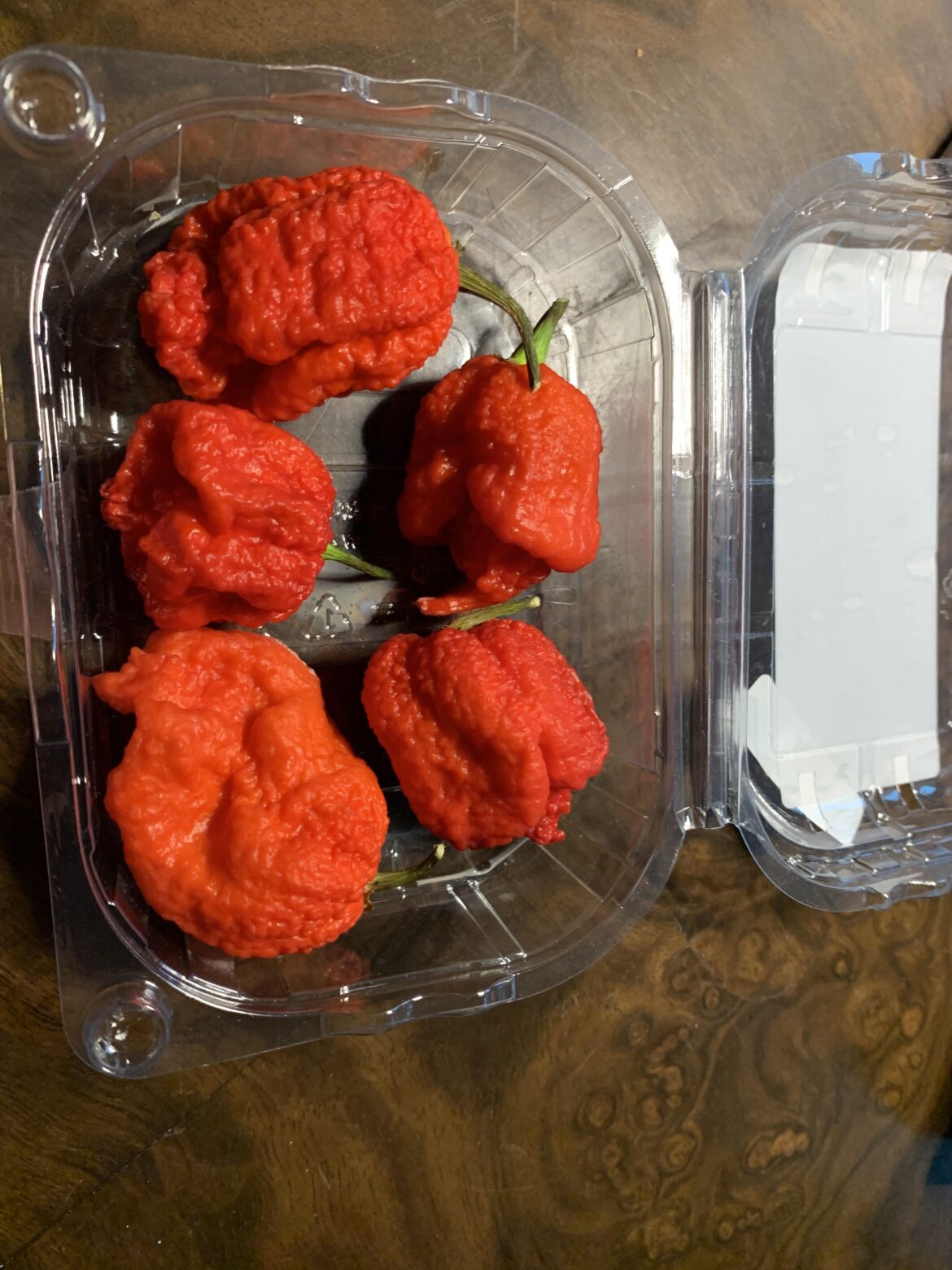 My little cousin got cocky after eating messican, he bet me 10$ that he could eat any pepper, let’s see how you do buddy…