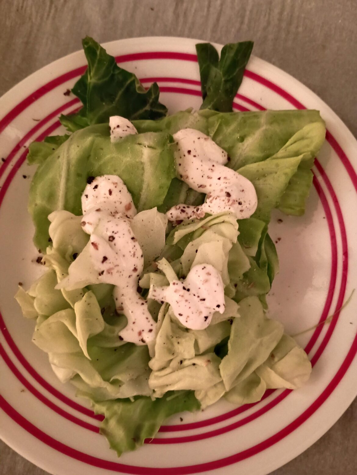 Cabbage and sour cream