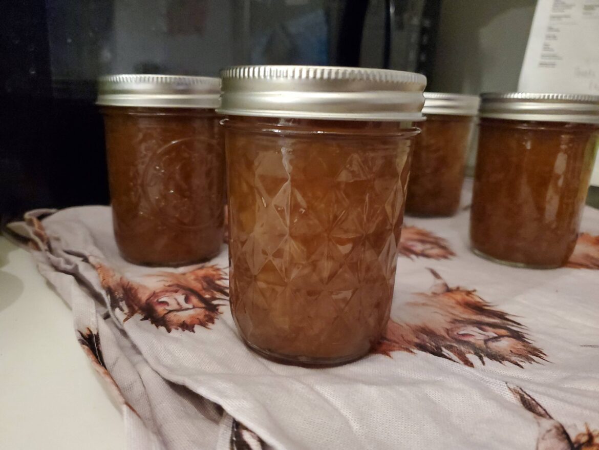 Balsamic onion jam, teaching a new canner and she nailed it!