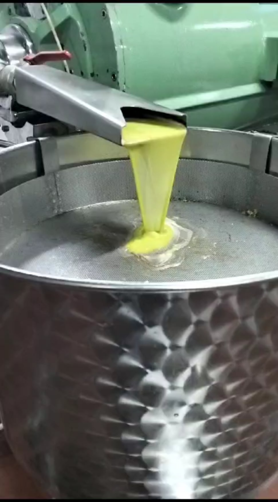 Finest extra virgin olive oil freshly pressed Finest extra virgin olive oil freshly pressed
