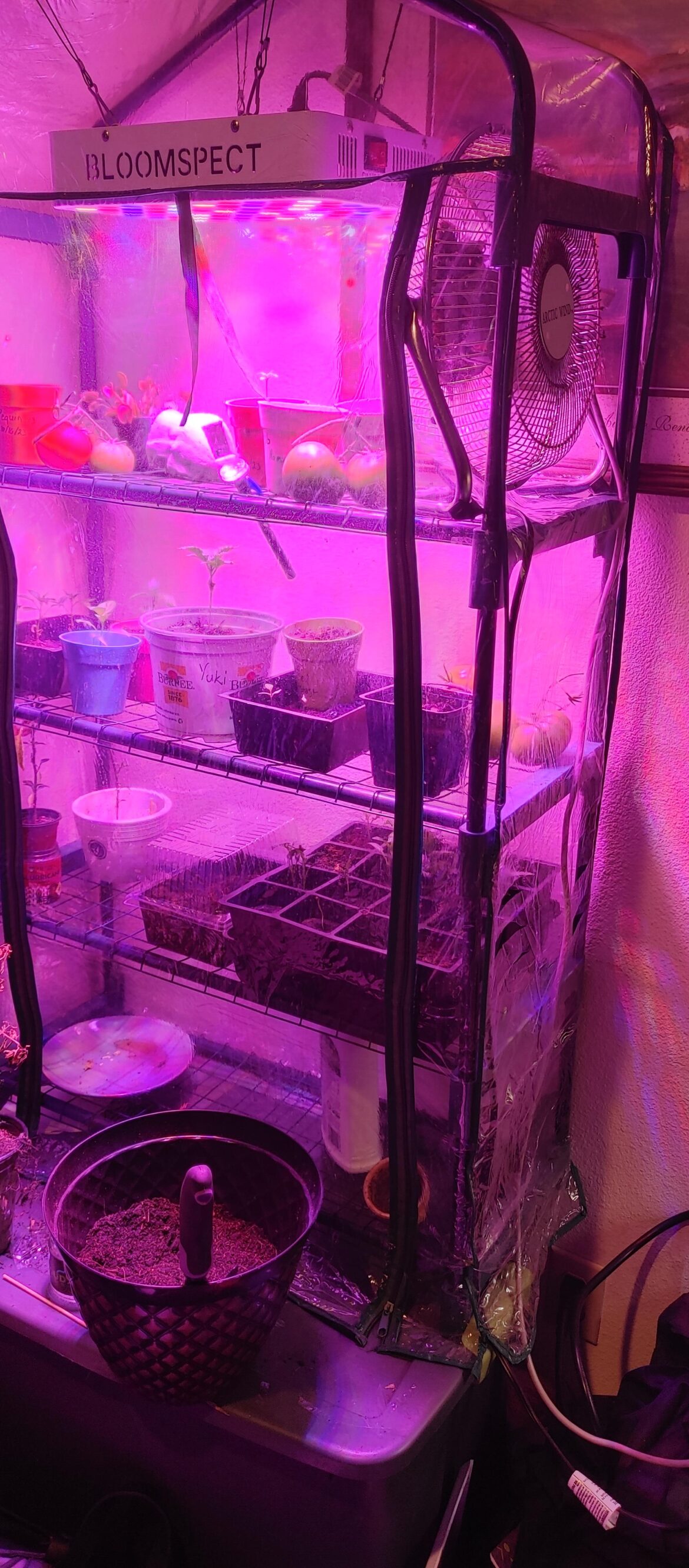 My indoor greenhouse.