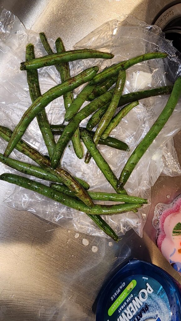 Why are the green beans always like this?