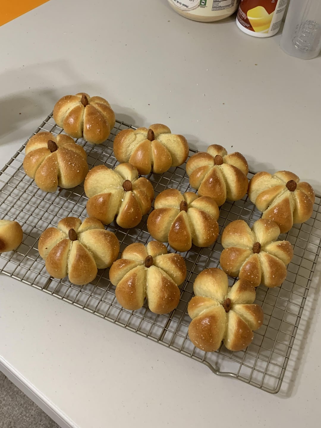 Brioche Dinner Rolls (Pumpkin Shaped) Dining and Cooking