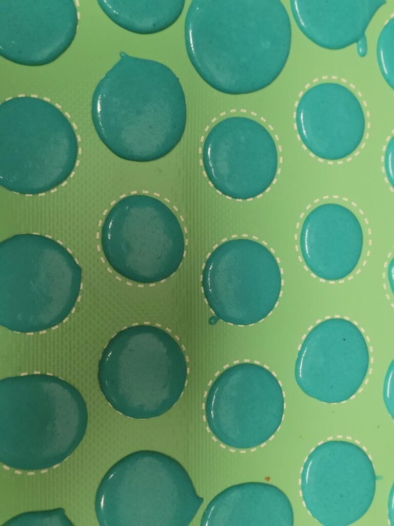 First ever macarons made!