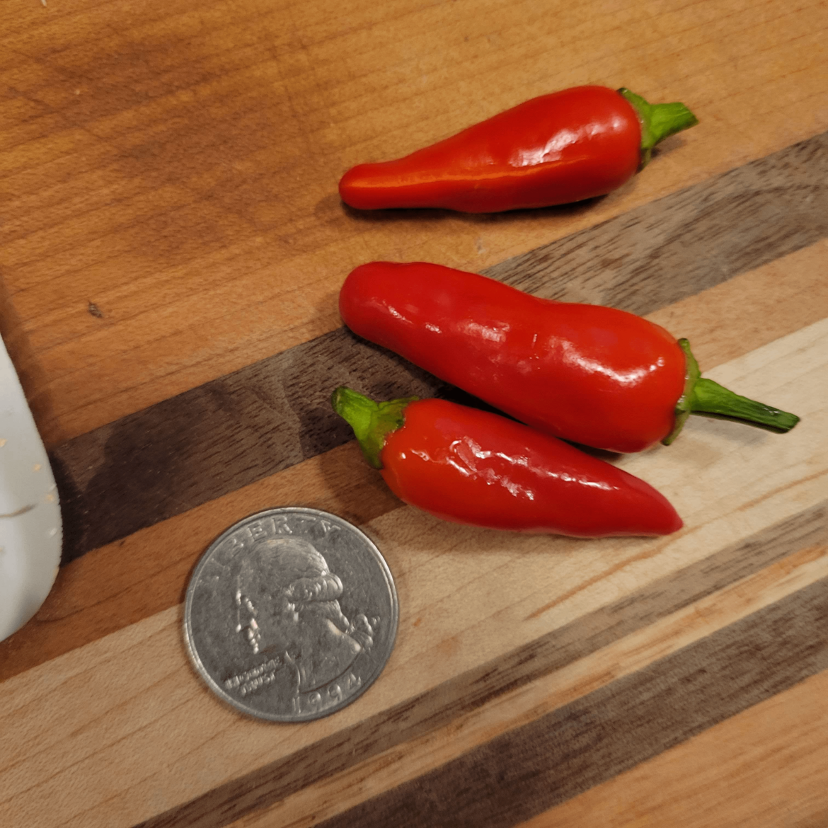 Got these peppers as a gift, good level of heat. Any ideas what they are?