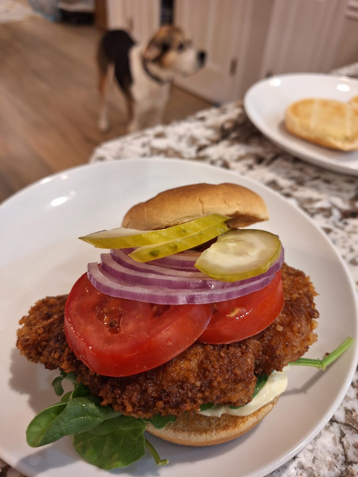 Breaded pork butt sandwich