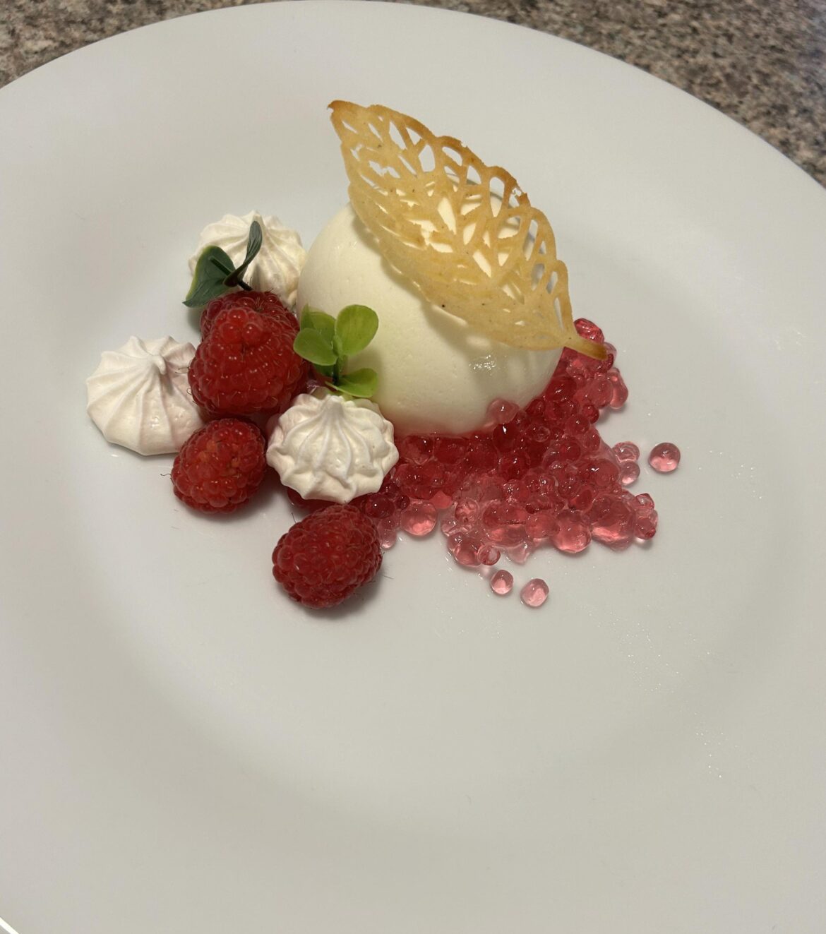Lemon panna cotta, raspberry caviar, meringue drop, honey tuile