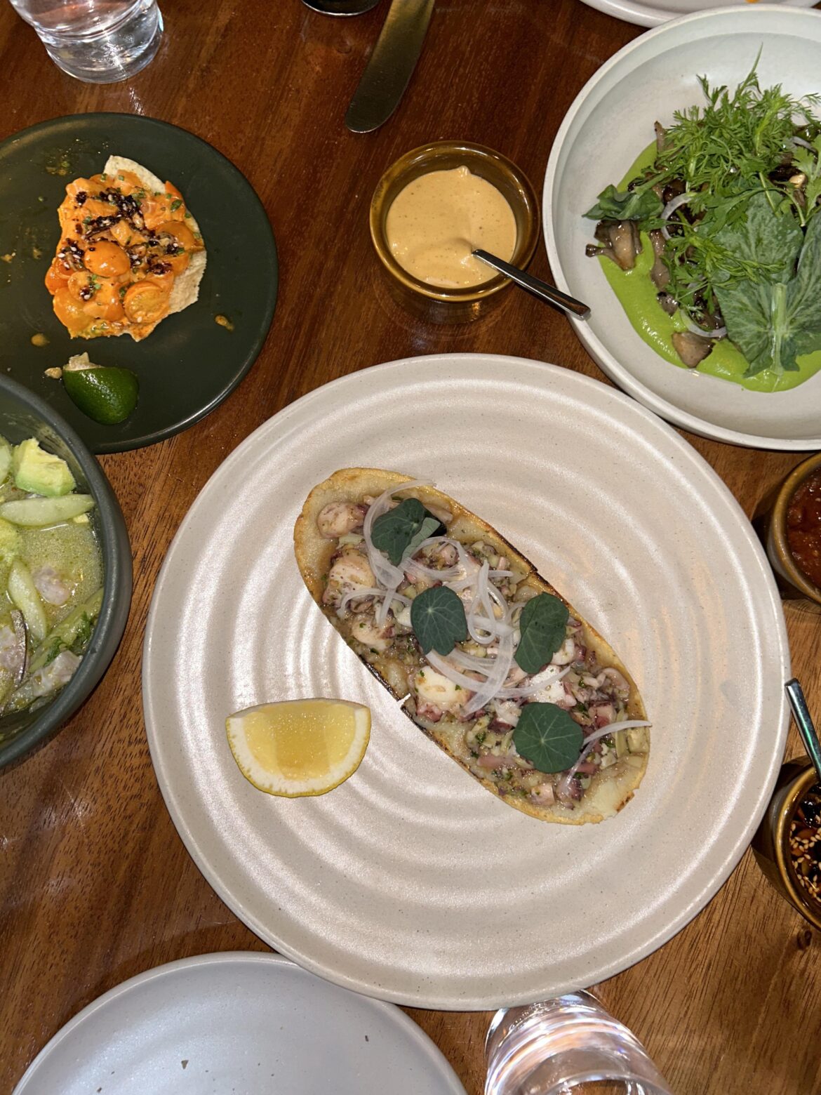 Damian Experience Damian Experience