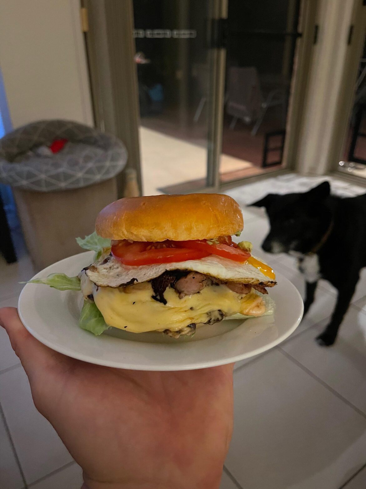 Dry aged beef burger pattie with bacon, egg, lettuce, tomato,white onion, avocado, cheese and smoked aioli on a brioche bun