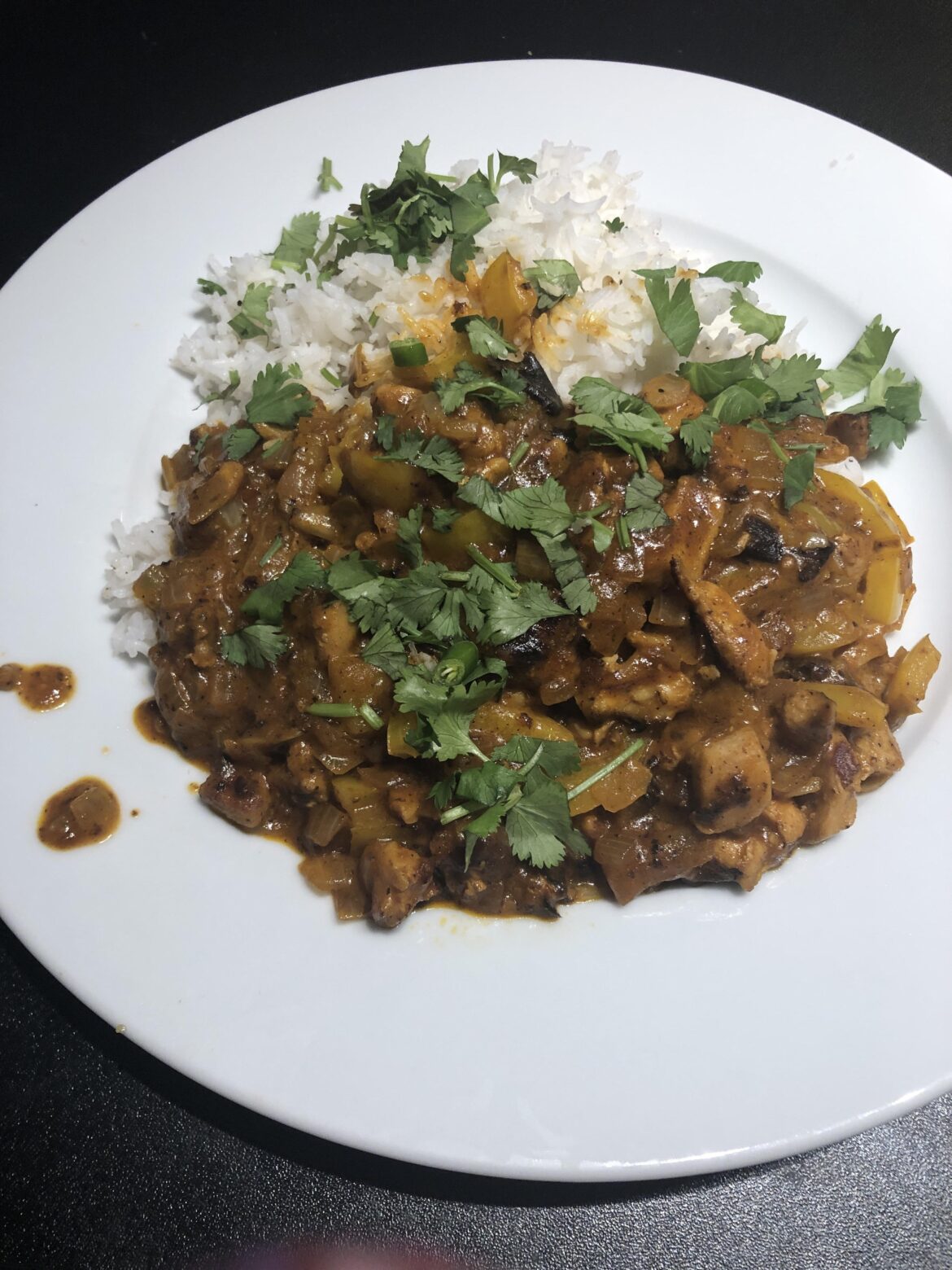 11/16/23: Indian Style Chicken Curry