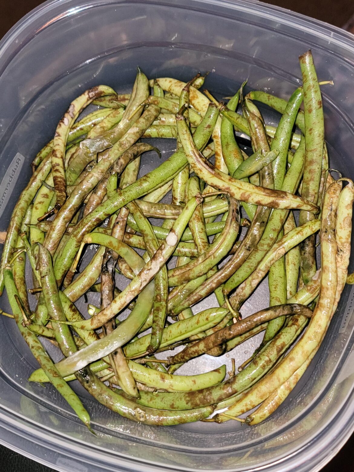 Thanksgiving Disaster: I ordered the Thanksgiving Feast and received 4 bags of unusable green beans and all they did was give me $17 credit. I don't know what to do.