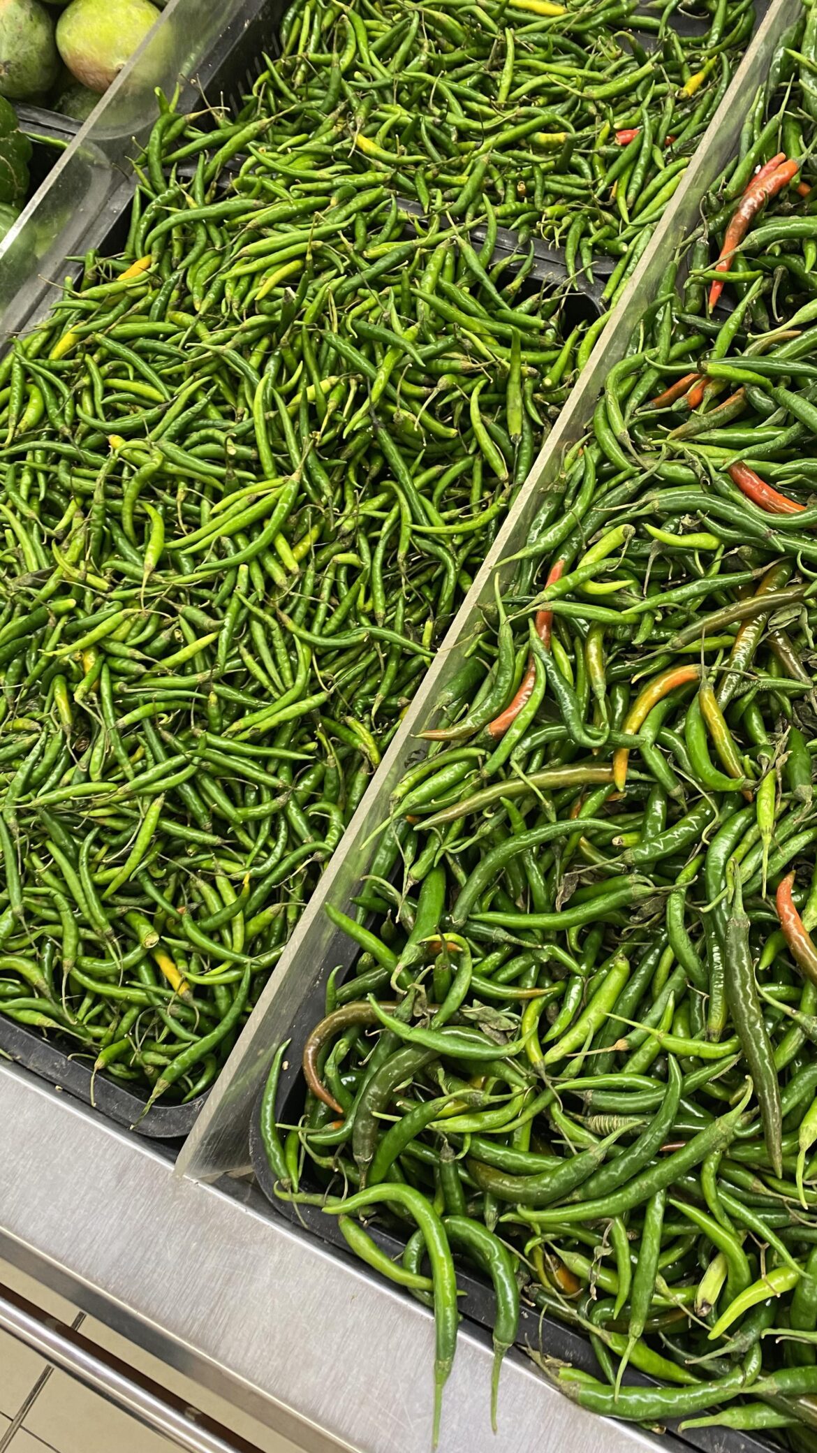 What are these? Found in a grocery store in Muscat, Oman