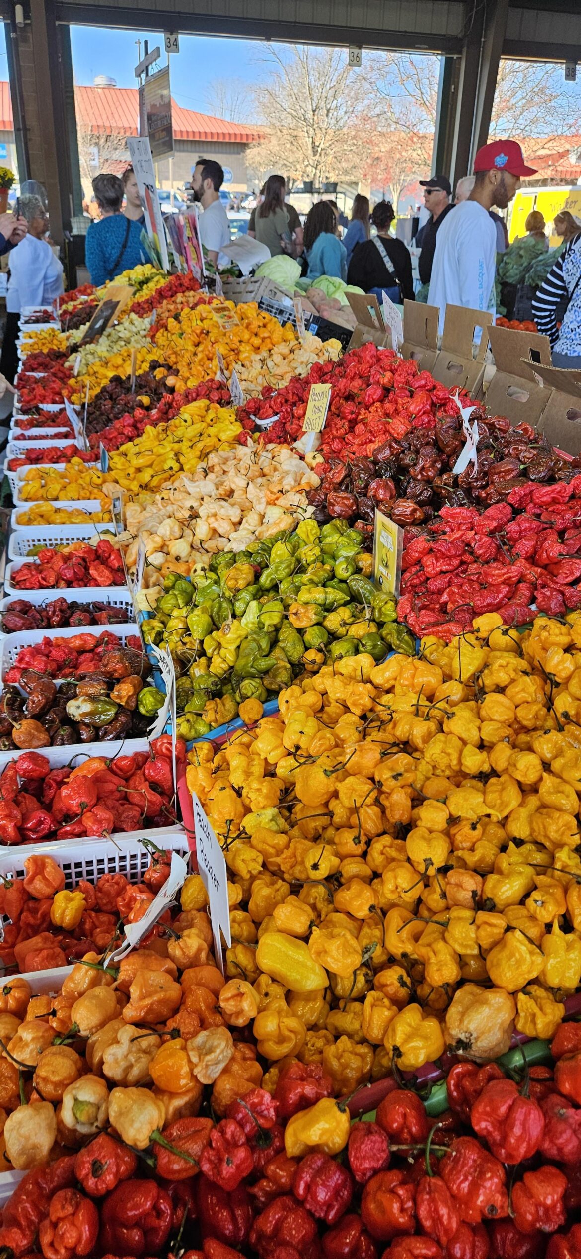 Heaven at the farmer's market