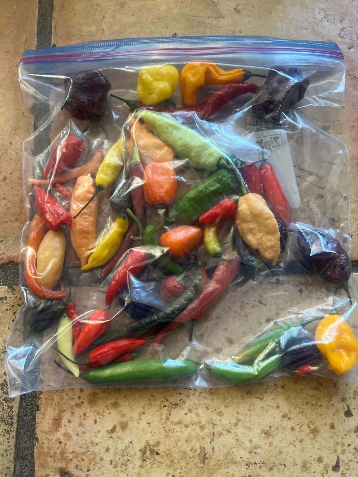 Bought some super hits and need help!