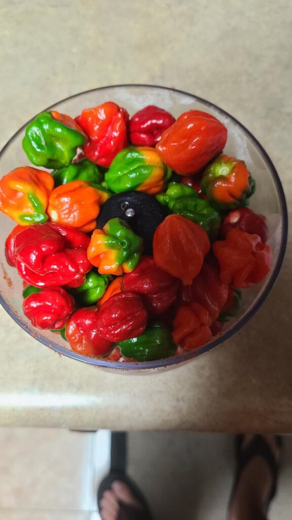 Scorpion pepper chili powder process