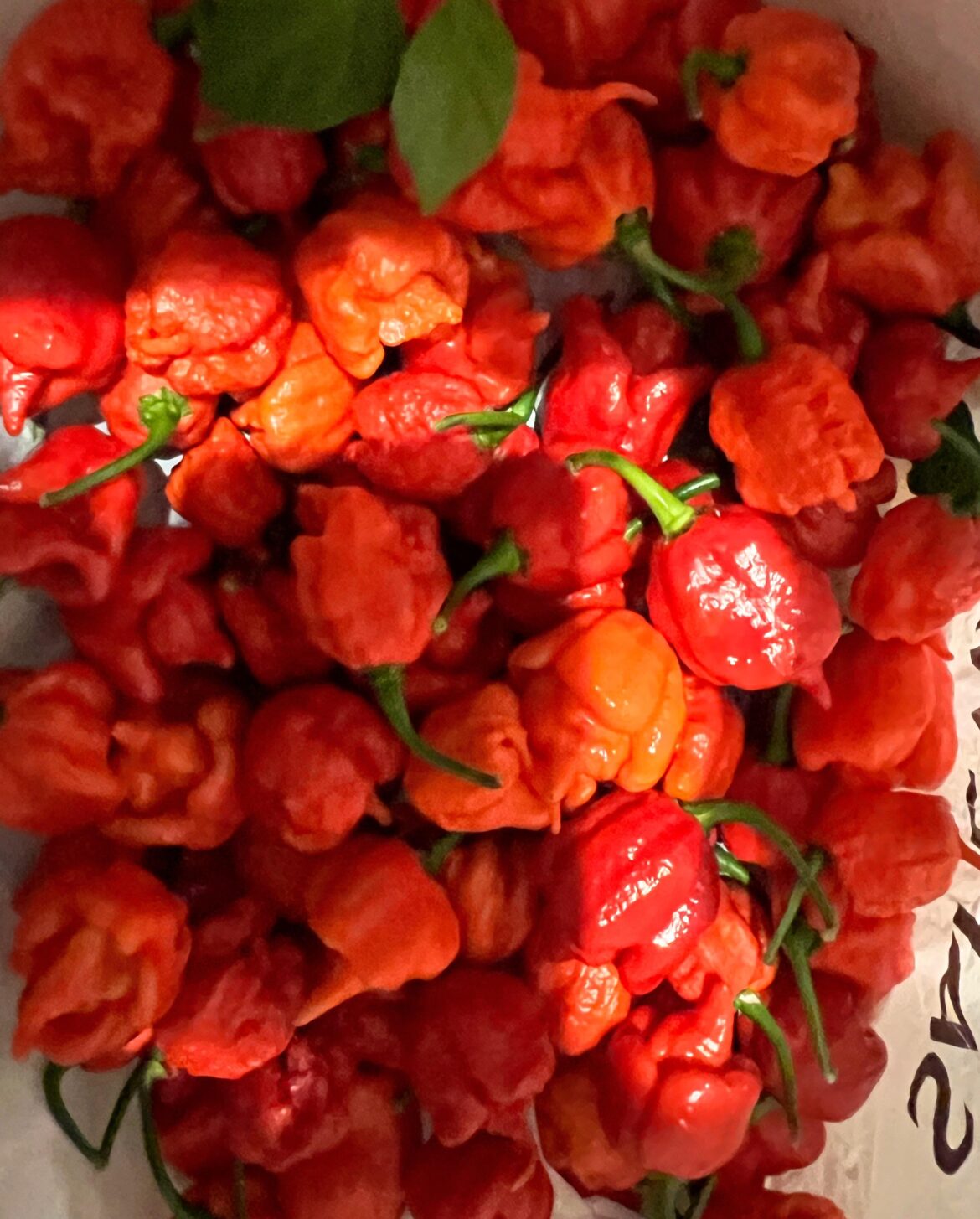 What to do with this Reaper harvest?