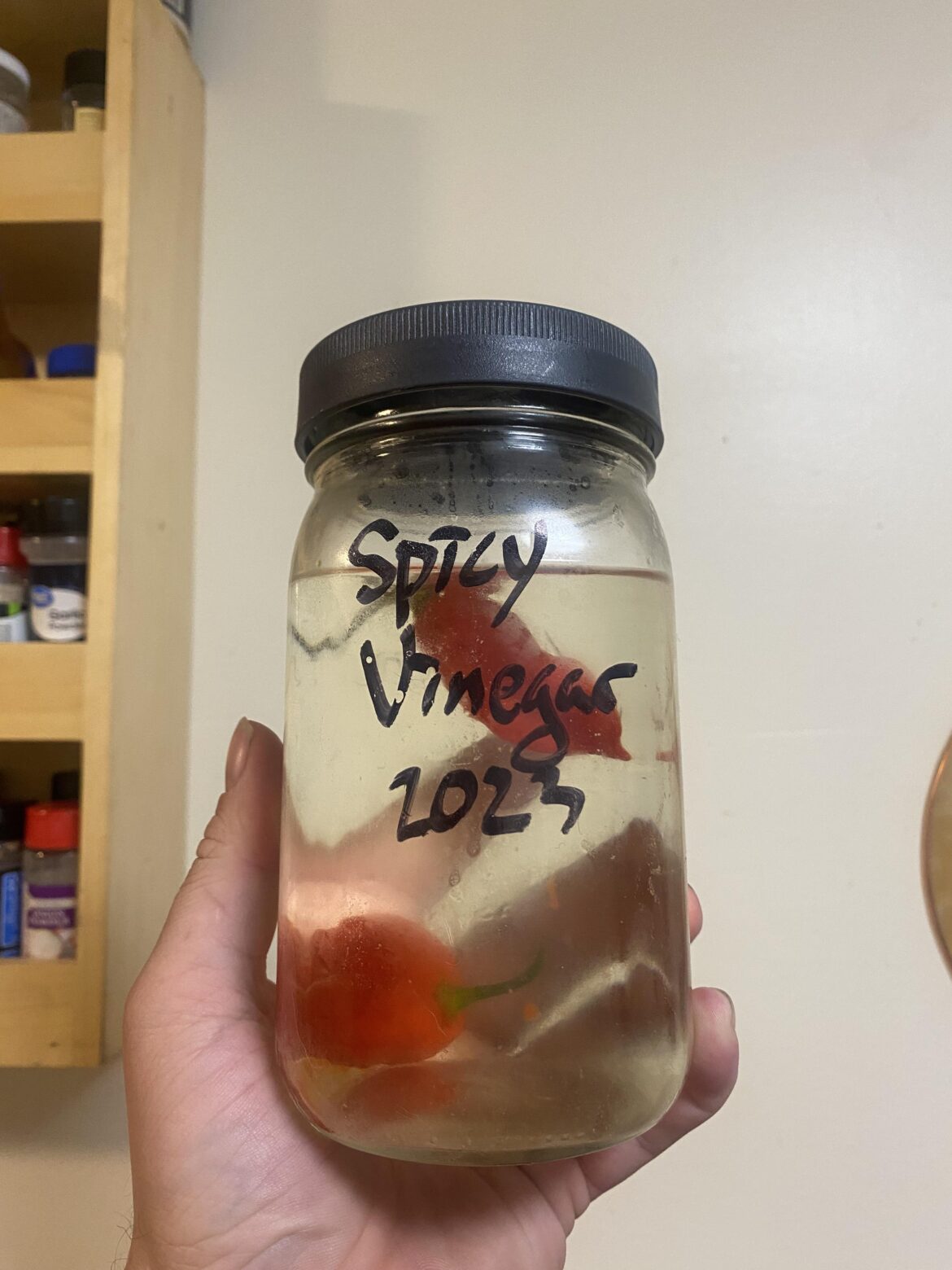 One quart vinegar, one table spoon salt, one ghost, one reaped.