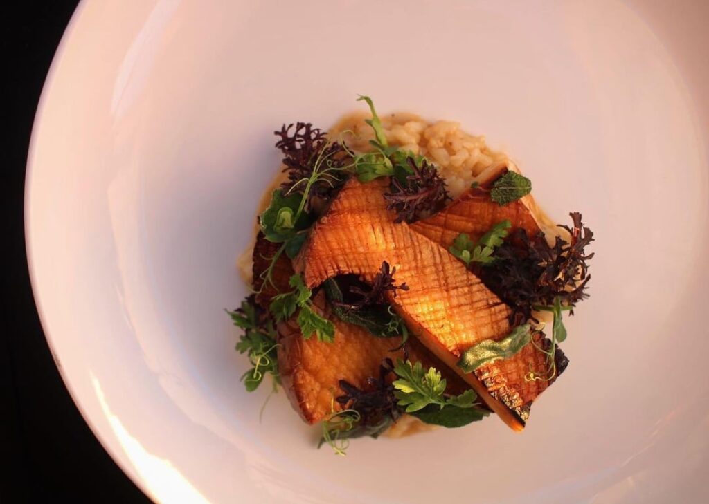 Oyster mushroom risotto