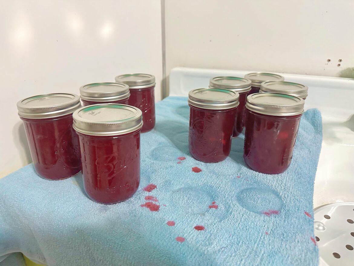 Wonderful time of the year for cranberry sauce