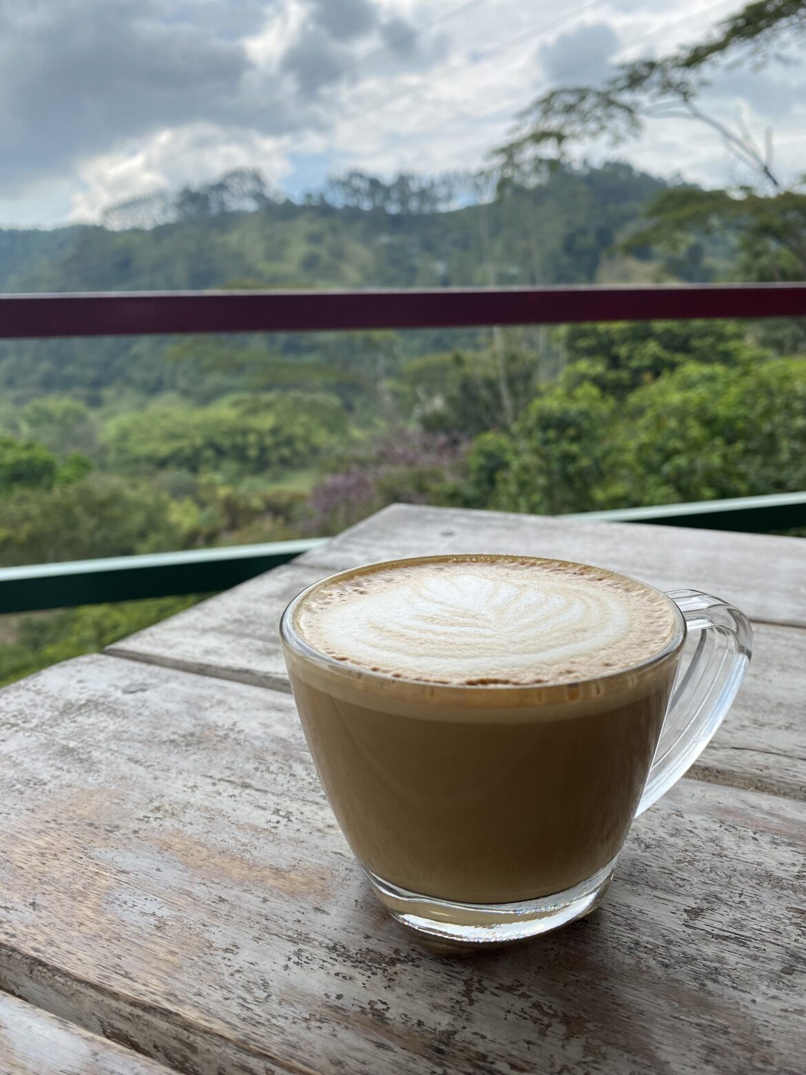 Finca el Ocaso - Colombia 🇨🇴