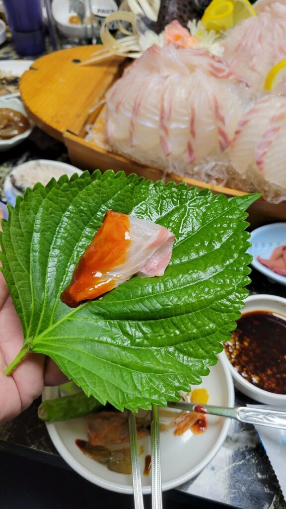 My colleague and I were treated to a fantastic seafood feast at Jagalchi, it doesn’t get better than this My colleague and I were treated to a fantastic seafood feast at Jagalchi, it doesn't get better than this