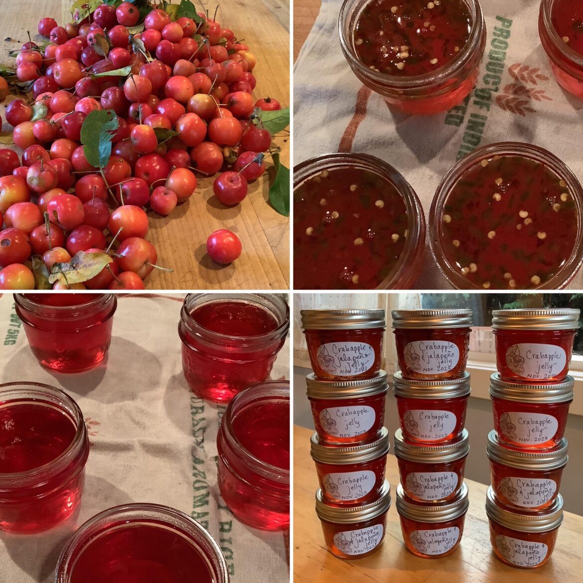 First time jelly making as I kept seeing neighbourhood trees burgeoning with crabapples.