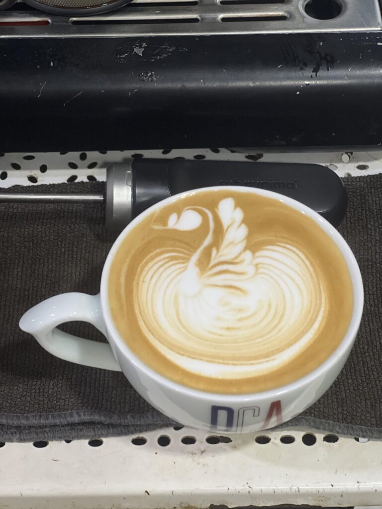 Last V1 nanofoamer swan latte art -- it spoilt :'(
