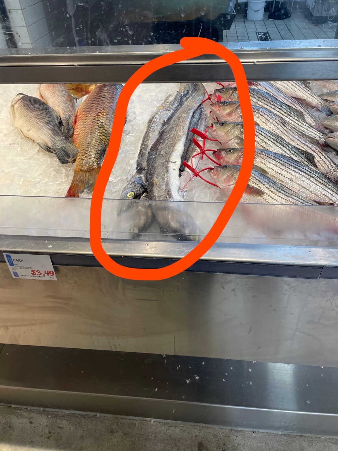 Went to H-Mart to grab some stuff and saw this fish and want to prepare it but have no idea what it is. Can anyone help identify?