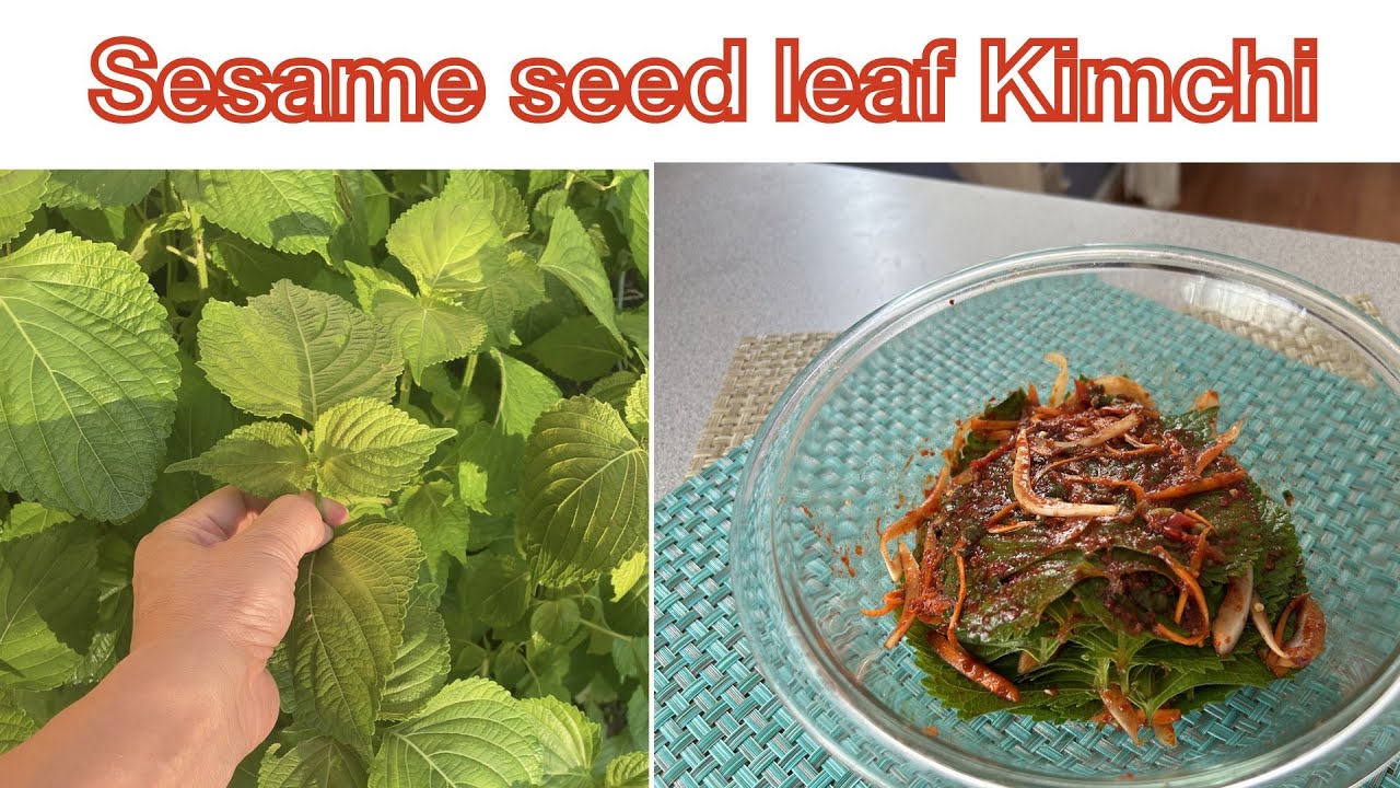Sesame seed leaf kimchi [ Kaennip Kimchi] by Miss Parsley Dining and Cooking