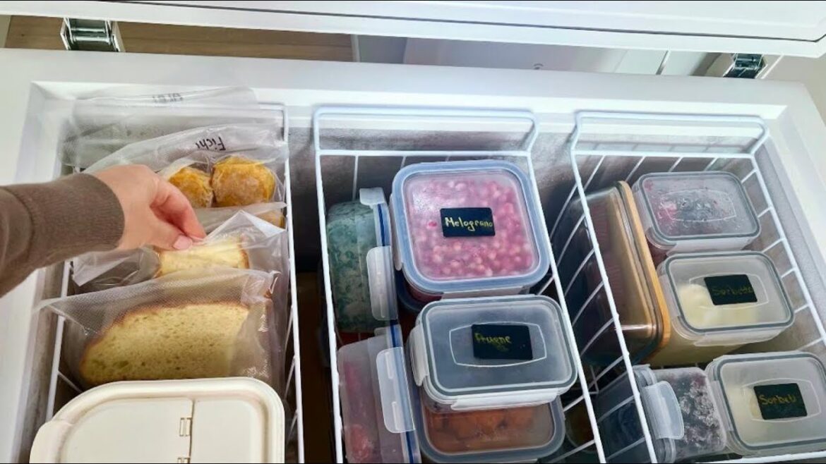 L' organizzazione perfetta è fatta così | Come organizzo il mio congelatore 1000 preparazioni e idee