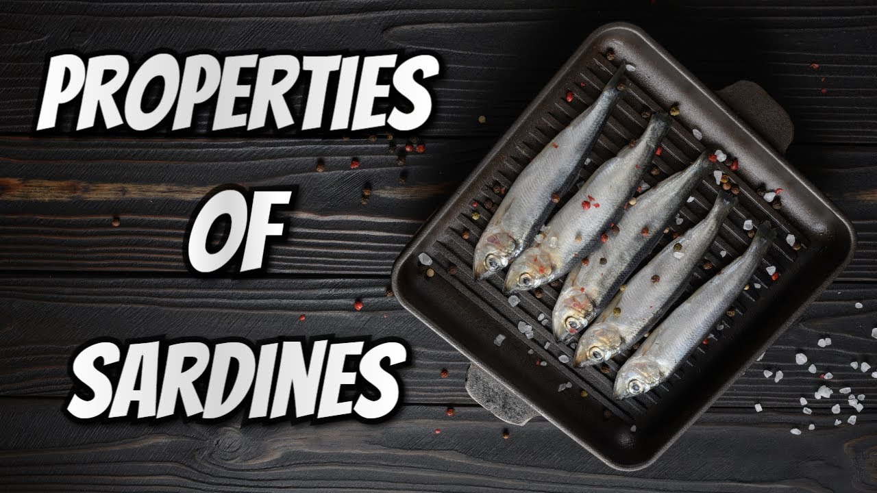 PROPERTIES OF SARDINES!! Did you know that SARDINES are a SUPERFOOD